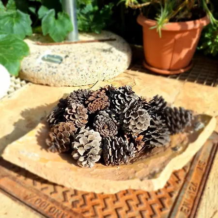 To Pefko - Mezzanines - * Μεγίστη