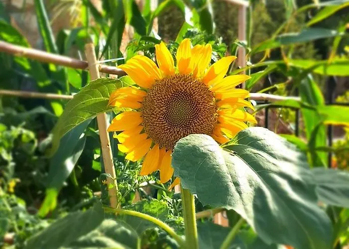 アパート To Pefko - Mezzanines - *