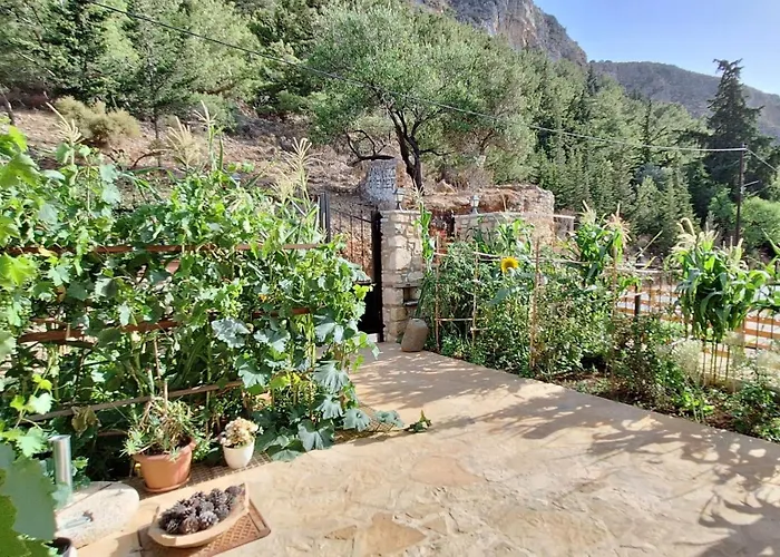 To Pefko - Mezzanines - アパート Meyísti