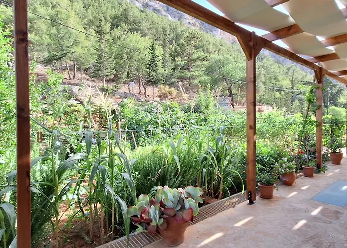 アパート To Pefko - Mezzanines - Meyísti