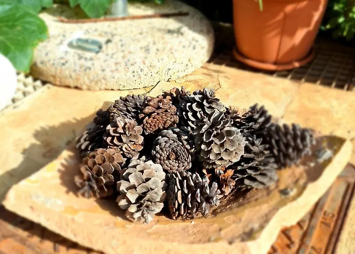 To Pefko - Mezzanines - * Meyísti